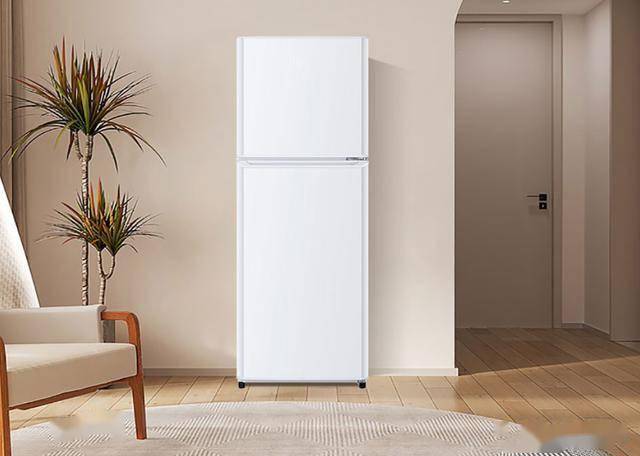 5LHTME0WT：849元145升双门节能冰箱ayx爱游戏app体育节能新选择海尔BCD-14(图2)