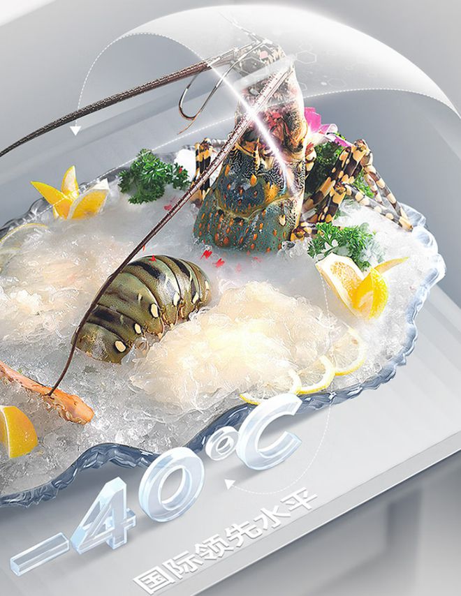 元宵精品冰箱的保鲜秘籍揭秘爱游戏app不一样的美味(图8)