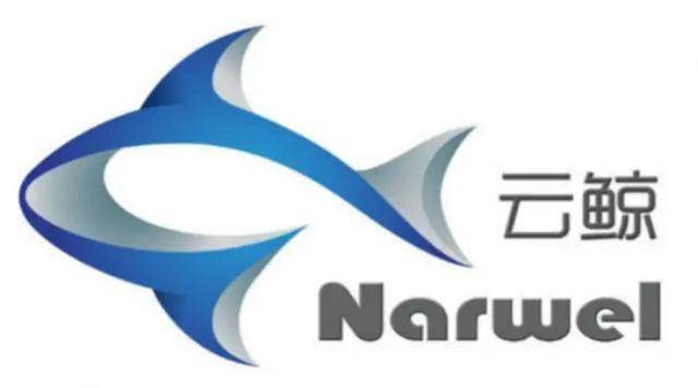 国50个TOP级电器品牌ayx爱游戏app体育中(图4)